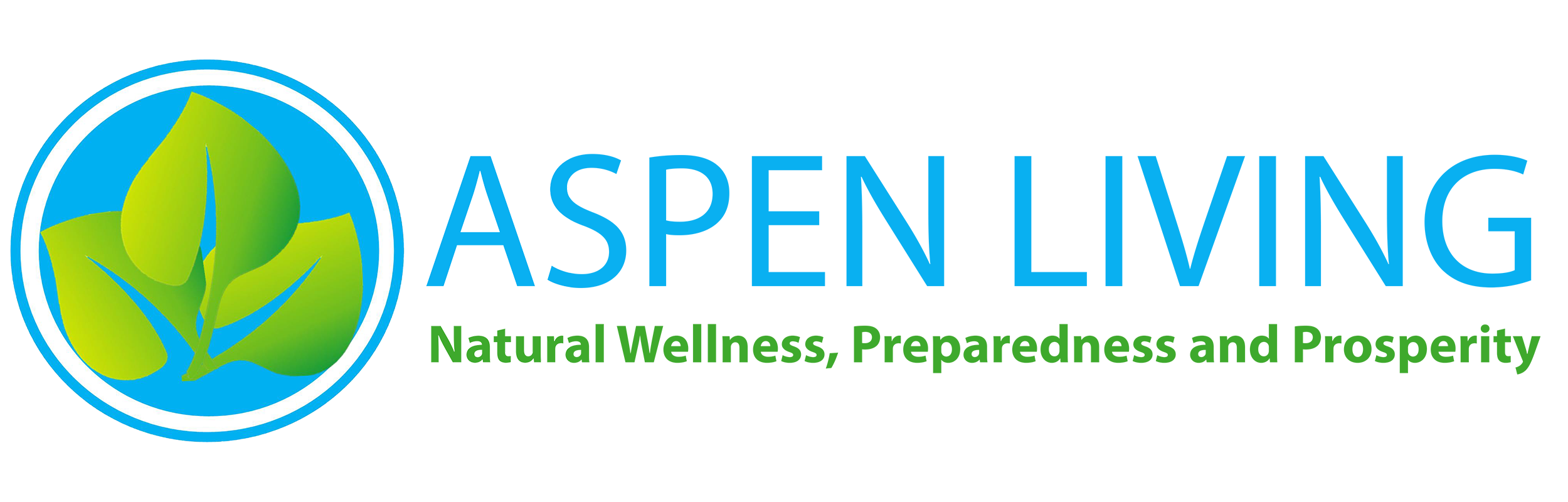 Aspen Dev Site